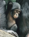 Zoo
